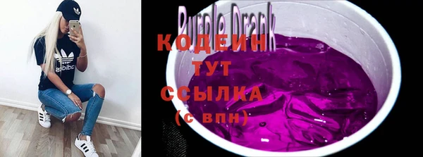 прущий лед Гусев