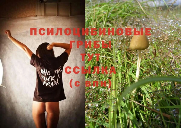 меф Гусиноозёрск