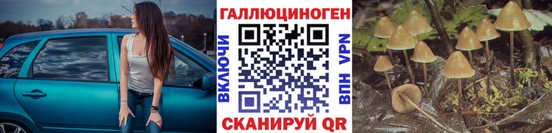 Псилоцибиновые грибы MAGIC MUSHROOMS  Красноармейск 